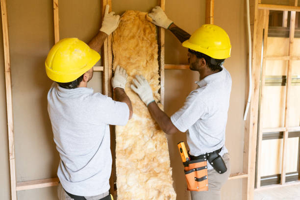 Best Insulation Repair Services  in Brownsville, PA