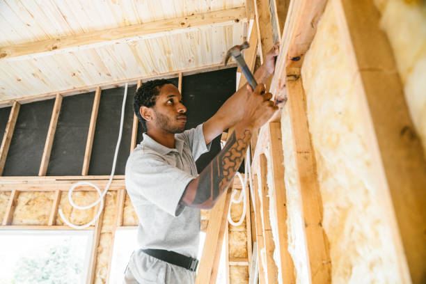 Best Insulation Removal  in Brownsville, PA