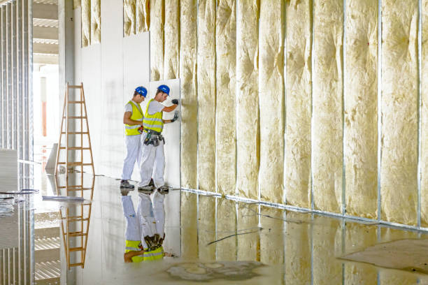 Best Wall Insulation Contractor  in Brownsville, PA
